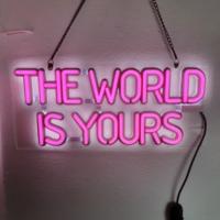 Free Shipping-"THE WORLD IS YOURS" NEON LIGHT  - Thumbnail 5
