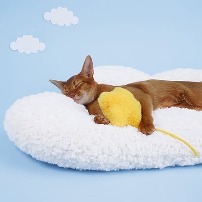 Cloud kingdom stars soft fluffy cats dogs pets beds