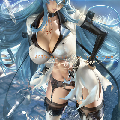 Esdeath poster #346