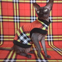 Neon Purberry  - Thumbnail 1