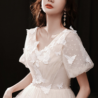 Champagne tulle lace long prom dress A line evening dress - Thumbnail 2