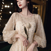 Champagne tulle sequins long prom dress A line evening dress - Thumbnail 2