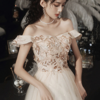 Champagne tulle lace long prom dress A line evening dress - Thumbnail 3