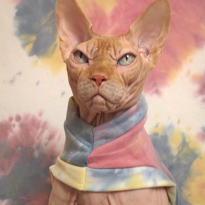 Desert sky tie dye - yeezus