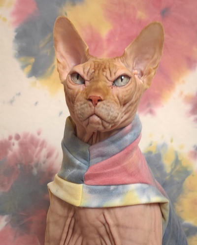 Desert Sky Tie Dye - Yeezus