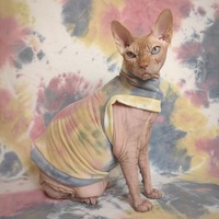 Desert Sky Tie Dye - Yeezus - Thumbnail 1