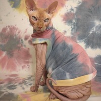 Desert Sky Tie Dye - Yeezus - Thumbnail 2