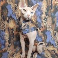 Join In The Chant! - Thumbnail 3