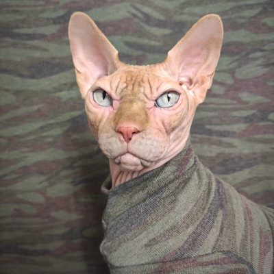 Camouflage for a broken heart