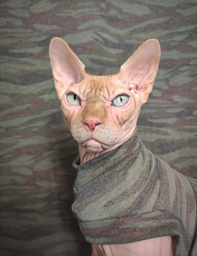 Camouflage For A Broken Heart