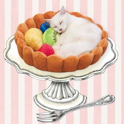 Cute sweet cake fruits tart cats dogs pets beds sleeping nests house