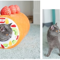 Cute Sweet Roll Cake Cats Dogs Pets Beds Sleeping Nests House - Thumbnail 5