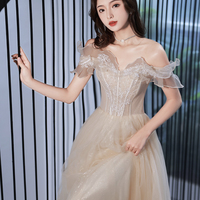 Champagne tulle lace long prom dress evening dress - Thumbnail 3