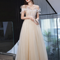 Champagne tulle lace long prom dress evening dress - Thumbnail 6