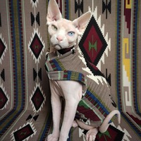 Sedona  - Thumbnail 2