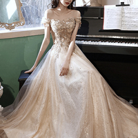 Champagne tulle lace long prom dress A line evening dress - Thumbnail 1