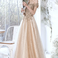 Champagne tulle lace long prom dress A line evening dress - Thumbnail 2