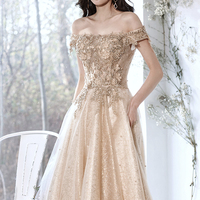Champagne tulle lace long prom dress A line evening dress - Thumbnail 3