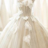 Champagne tulle lace long prom dress A line evening gown - Thumbnail 1