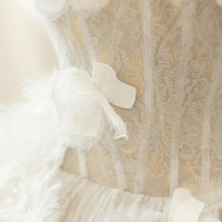 Champagne tulle lace long prom dress A line evening gown - Thumbnail 2