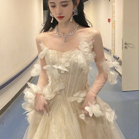 Champagne tulle lace long prom dress A line evening gown - Thumbnail 3