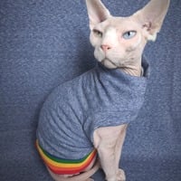 Over The Rainbow - Thumbnail 2