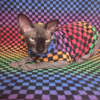 Remember rainbows - Thumbnail 5