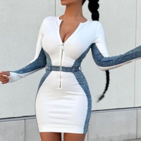 Zipper Women Long Sleeve Skinny Dress - Thumbnail 2