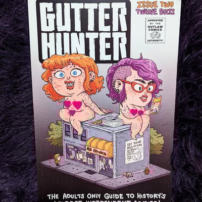 Gutter hunter #2
