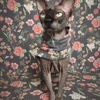 English Garden - Thumbnail 1