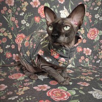 English Garden - Thumbnail 2