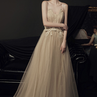 Champagne tulle lace long prom dress evening dress - Thumbnail 6