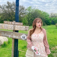 Plus Size Women Spring Summer Retro Floral Rose Pearl Embroidery Flower Print Strap Dress - Thumbnail 2