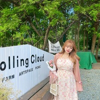 Plus Size Women Spring Summer Retro Floral Rose Pearl Embroidery Flower Print Strap Dress - Thumbnail 8