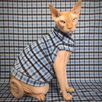 Black & Blue - Thumbnail 2