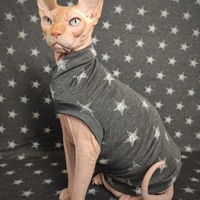 Stars In Distress - Thumbnail 2