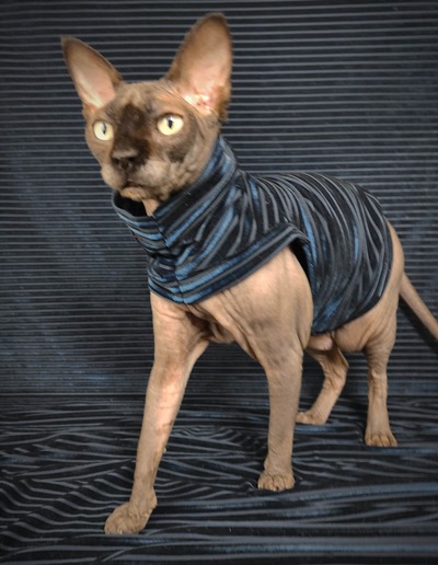 Blue on Black Velvet