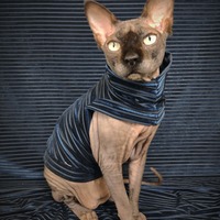 Blue on Black Velvet - Thumbnail 1