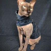 Blue on Black Velvet - Thumbnail 2