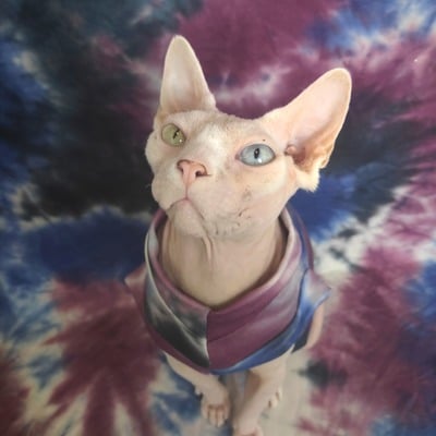 Blue burgundy black tie dye