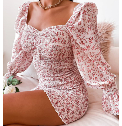 Casual Floral Skinny Long Sleeve Printed Dress