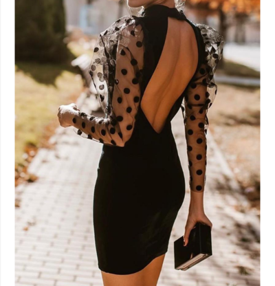 Women Long Sleeve Panelled Open Back Dress