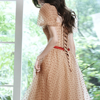 Lovely Tulle Polka Dot Long Prom Dress Evening Dress - Thumbnail 4