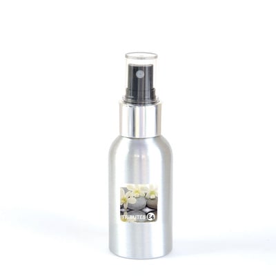 Vanilla with molecule 01 - 50ml - picture perfect winter - free shipping