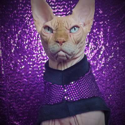 Sparkling personality (purple)