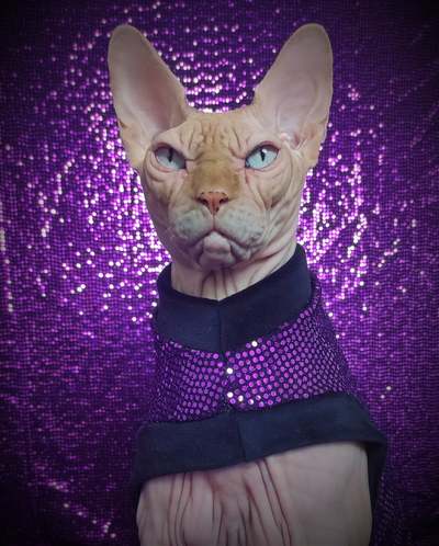 Sparkling Personality (Purple)