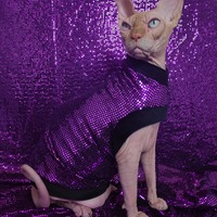 Sparkling Personality (Purple) - Thumbnail 2