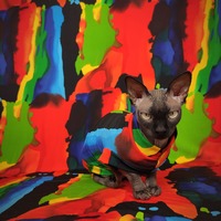 Colors - Thumbnail 1