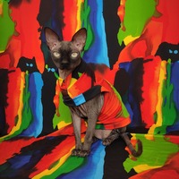 Colors - Thumbnail 2