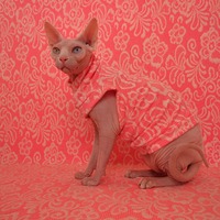 Life In Neon - Thumbnail 1